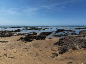 Circuit plages et champs à Bretignolles-sur-Mer - Gaetan - 5
