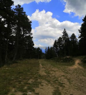 Coll del Pam depuis Fameils - Anne - 21