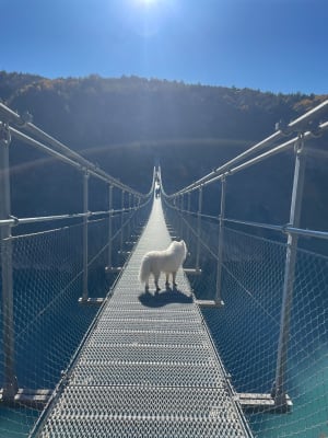 Sortie Lac de Monteynard et passerelle Himalayenne - Treffort - 30