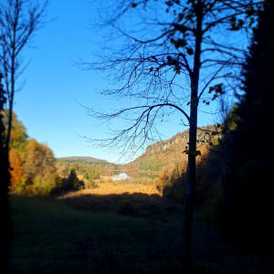 Rond de vier meren van de Haut-Jura - Le Frasnois - 15