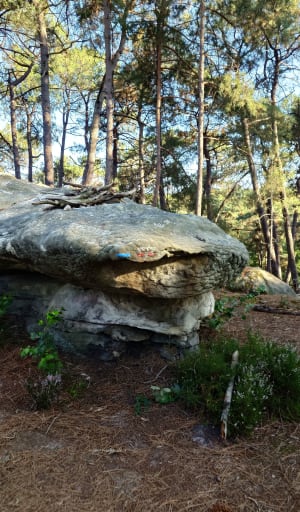 Points de vue et petite mare en forêt de Fontainebleau. - Fontainebleau - 10
