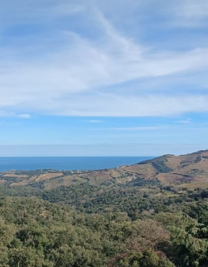 Rando en bas de la Massane - Argelès-sur-Mer - 13