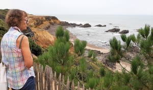 Pointe du Payré-pad - Jard-sur-Mer - 20