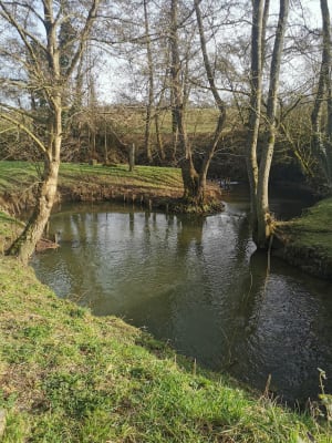 Ménerval et son monument classé, le Pont de Coq - juliette - 2