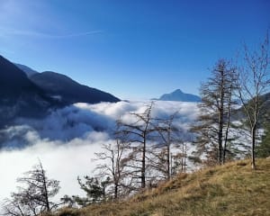 Les alpages d'Arâches - Arâches-la-Frasse - 9
