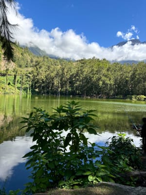 La mare aux poules d'eau. - Salazie - 18