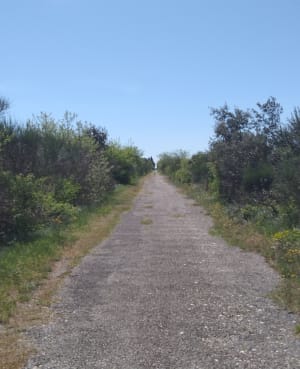 Balade entre plaines de St-Paul et sous-bois de Montsegur - Felipe - 4