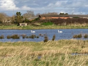 Balade sur la plage de Marennes - Marennes-Hiers-Brouage - 9