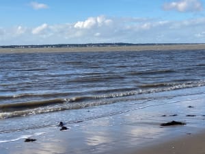 Balade sur la plage de Marennes - Marennes-Hiers-Brouage - 10