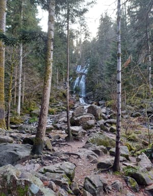 De la grande cascade à petite cascade de Tendon - Le Tholy - 33