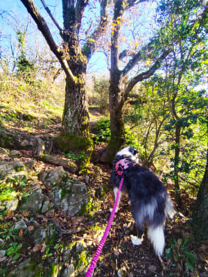 Balade entre Crozes-Hermitage et le belvédère Pierre-Aiguille - Crozes-Hermitage - 26