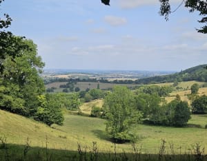 Le Billot et sortie surprenante dans la vallée de l'Oudon - Saint-Pierre-en-Auge (Le Billot) - 4
