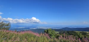 Sommet du Grand Ballon depuis Geishouse - Geishouse - 6