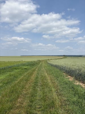 Entre Septeuil et Courgent - Septeuil - 6