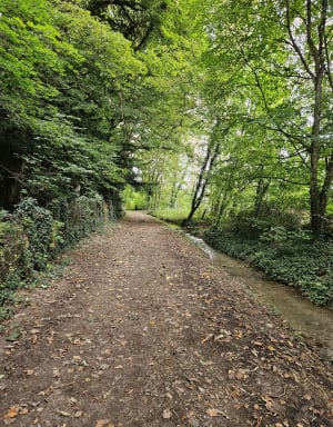 Autour de Nailly - Nailly - 9