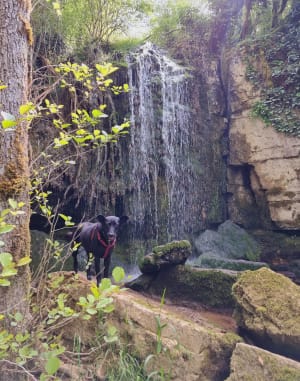 Virée à la Caborne du Bœuf, gorges et cascades de Valouse - Saint-Hymetière-sur-Valouse - 3