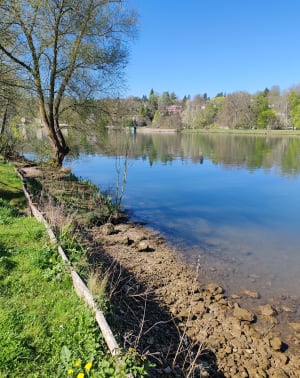 Petit patapon le long de la Seine par Chartrettes et Champagne-sur-Seine - Vulaines-sur-Seine - 2
