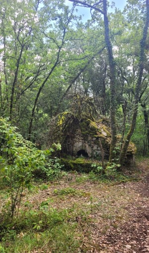 Les bois de Castellenaud et son chateau - Castelnaud-la-Chapelle - 5