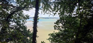 Boucle de Sainte Barbe - Plestin-les-Grèves - 41