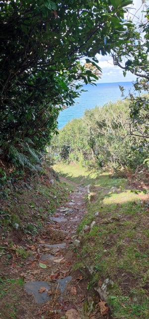Boucle de Sainte Barbe - Plestin-les-Grèves - 42