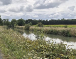 Saint-Hippolyte vers Echillais, puis bords vers Tonnay à VTT - Tonnay Charente - 2