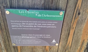 Bain de culture et flâneries de Champagne à Peyraud - Champagne - 5