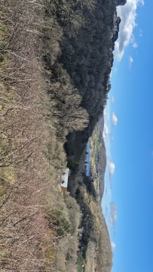 Découverte du causse corrézien et espèces rares - Chasteaux - 13
