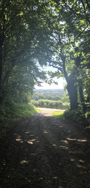 Panorama sur Bricquebec depuis la voie verte - Bricquebec-en-Cotentin - 6