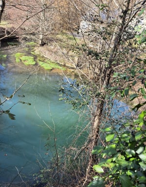 Découverte du causse corrézien et espèces rares - Chasteaux - 15