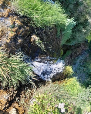 Boucle des Cascades de Creissels, Moulin de Tournal et Cirque de St-Martin - Creissels - 27