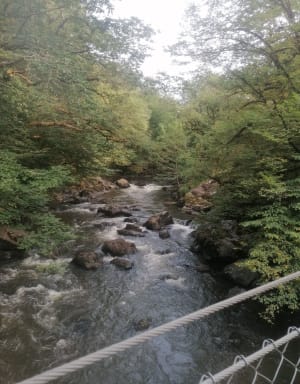 Des gorges de l'auvezere aux forges de Savignac Lédrier - Saint-Mesmin - 41