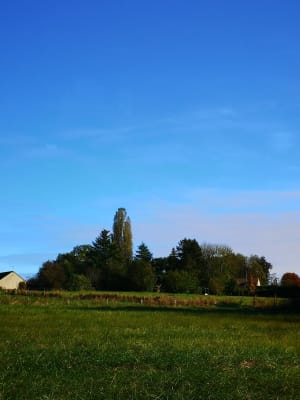 Autour de Presles en Brie - Presles-en-Brie - 5