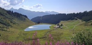 Balade des marmottes - Arâches-la-Frasse - 39