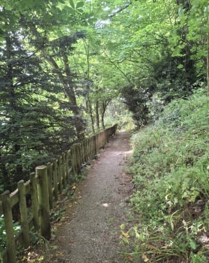 Le circuit du viaduc à château Gontier - MARCEL - 6