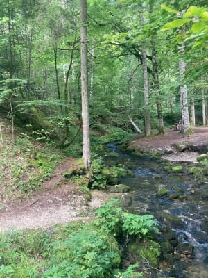 Source bleue et lac de Saint-Point - Malbuisson - 9