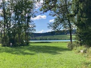 Source bleue et lac de Saint-Point - Malbuisson - 10