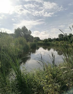Départ du parc Florimond vers Terry de Fouquières par l'étang de Pêche de Harnes - Harnes - 18