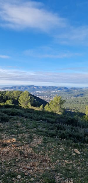 Sublime hauteurs de Ceyreste et évasion en forêt - Le Grand Caunet, Ceyreste - 6