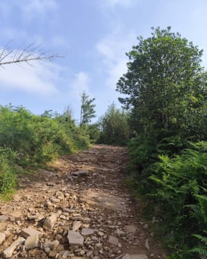 Boucle du col d'Ibardin par le GR 10 - Urrugne - 26