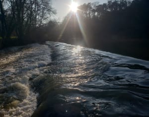 Bords de Poupet au printemps - Saint-Malô-du-Bois - 4