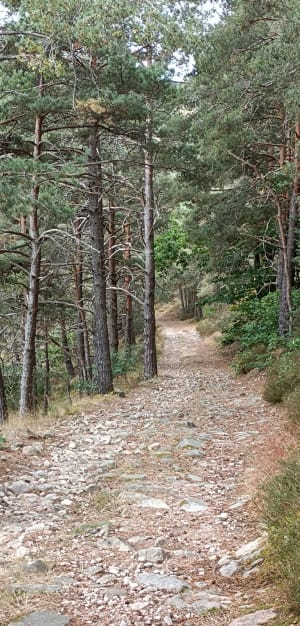 Château d'Essalois, par Chambles et Forêt - Chambles - 14