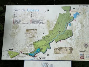 De Misérieux à Ars via le bois de Cibeins - Misérieux - 14