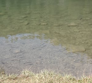 Boucle du lac de Saint-Apollinaire - Réallon - 9