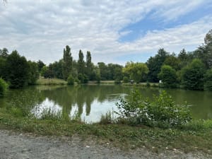 De Misérieux à Ars via le bois de Cibeins - Misérieux - 15