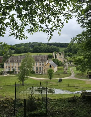 Ruines de l'abbaye de Mortemer et détours forestiers - Lyons-la-Forêt - 5