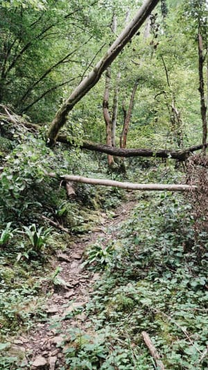 Rando au dessus de Lons le Saunier - Lons-le-Saunier - 10