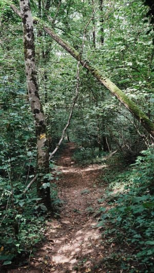 Rando au dessus de Lons le Saunier - Lons-le-Saunier - 11