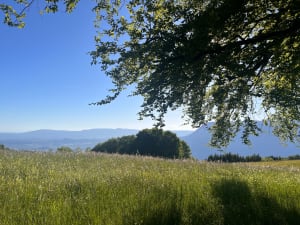 Balade depuis le Col du Clergeon - Ruffieux - 2