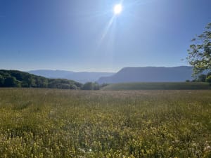 Balade depuis le Col du Clergeon - Ruffieux - 3