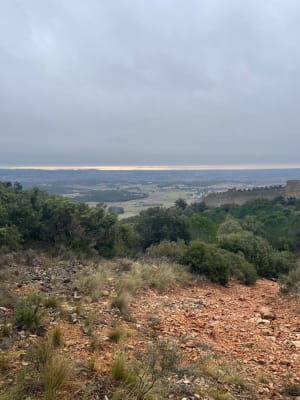 Castellas de Montpeyroux et évasion des vignes aux garrigues - Le Barry, Montpeyroux - 12